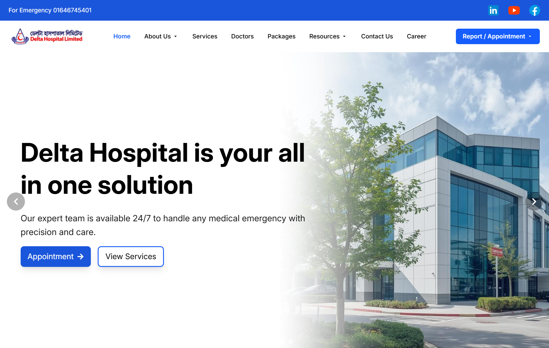 Hospital Website Development